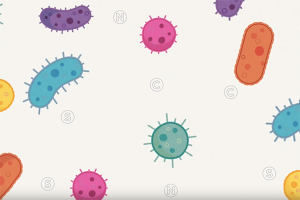 Relationship between viruses and microbes